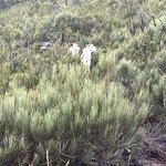 Photo taken by Cindy H