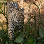 Photo taken by Matt W