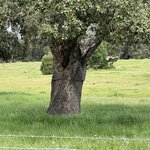 Photo taken by Tracy A