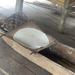 Photo taken by Jessica S