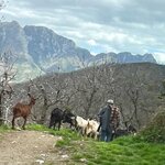 Photo taken by Beatrix P