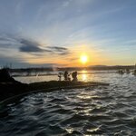 Photo taken by Lisa T