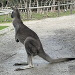 Photo taken by Amy W