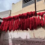 Photo taken by Beverly R