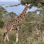 Photo taken by Michael L