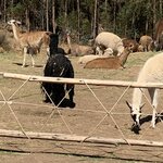 Photo taken by William B