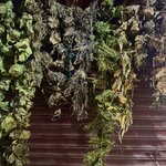 Photo taken by Sophie F