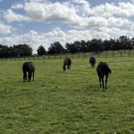 Photo taken by John K