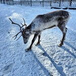 Photo taken by Caitlin P