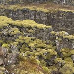 Photo taken by Sue M