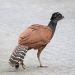 Photo taken by Joyce C