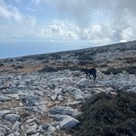 Photo taken by Janice R