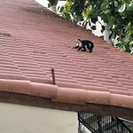 Photo taken by JULIE M