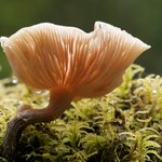 Photo taken by Mariellen S