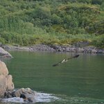 Photo taken by paolo c