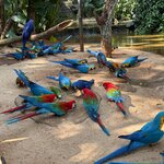 Photo taken by Kakoli K