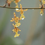 Photo taken by Marcia G