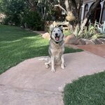 Photo taken by Paula H