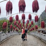 Photo taken by Vinh T