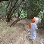 Photo taken by Jennifer H