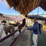 Photo taken by Anisha L