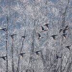 Photo taken by Iain M