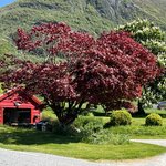 Photo taken by Andrea Y