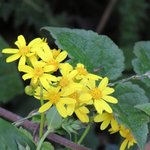 Photo taken by Kristin M