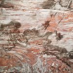 Photo taken by Beata p