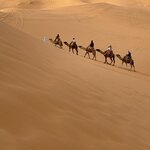 Photo taken by Mohammad Y