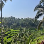 Photo taken by Brittany Leslie Lynn S