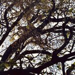 Photo taken by Mary R