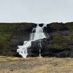 Photo taken by Dawn S