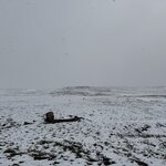 Photo taken by Dawn S