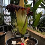 Photo taken by Martin D