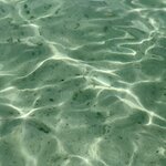 Photo taken by Shaula L