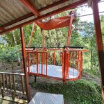 Photo taken by Debby D