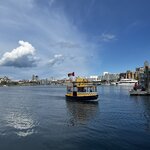 Photo taken by Fernanda S