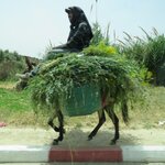 Photo taken by Paula H