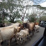 Photo taken by Graeme W