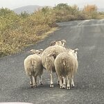 Photo taken by Nan K