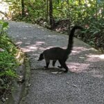 Photo taken by Kiko S