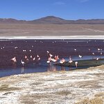 Photo taken by Shirley S