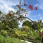 Photo taken by Victoria C