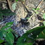 Photo taken by Erica A