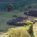 Photo taken by Bree J