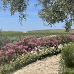 Photo taken by Martine B