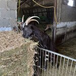 Photo taken by Daniel D