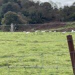 Photo taken by David L