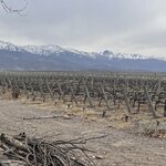 Photo taken by Michael L